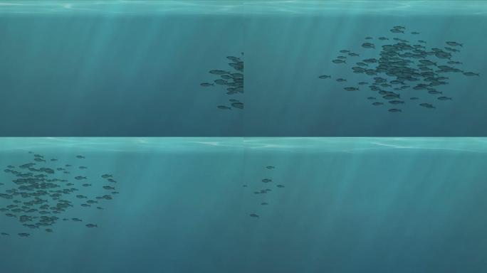 分层海底水底鱼群