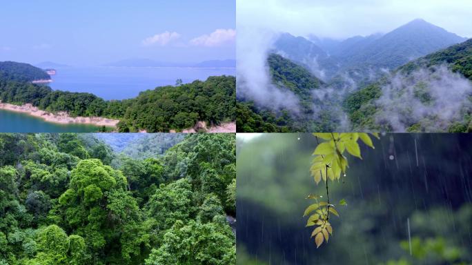 【原创可商用】高清航拍实拍原始森林植被