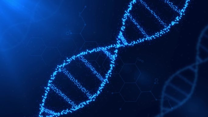 DNA遗传分子模板