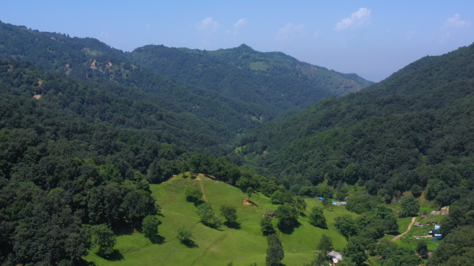 山羊奶  秦岭北麓 奶源基地 八百里秦川