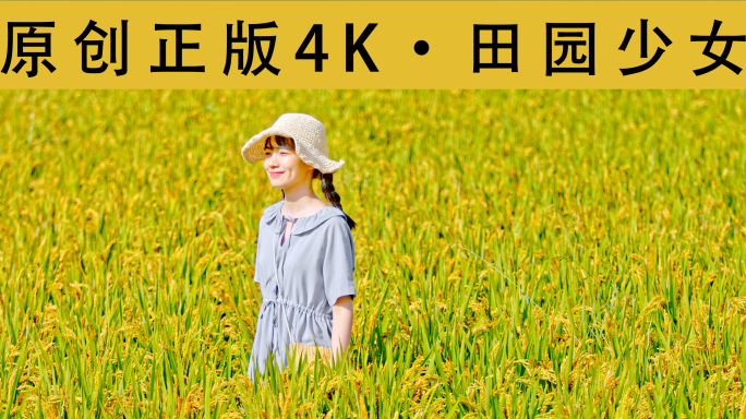 4K-麦田少女