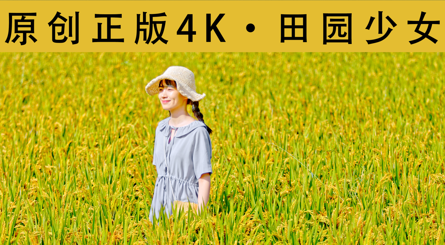 4K-麦田少女