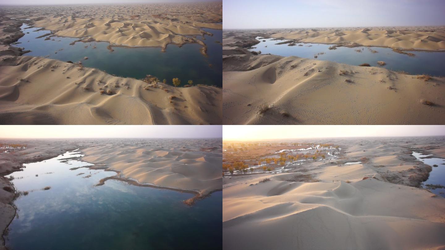新疆塔里木河沙漠胡杨塔克拉玛干沙