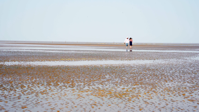 【4K】黄海滩涂景色和游玩的人们