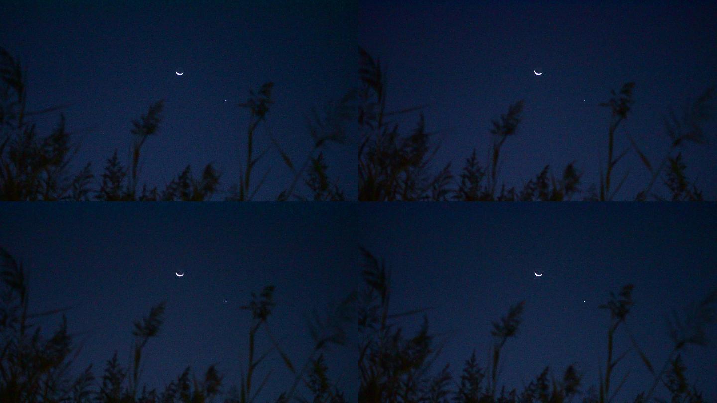 金星合月“星月童话”实拍素材2