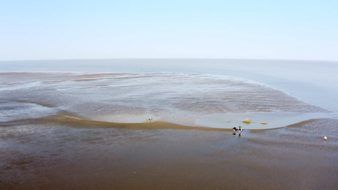 【4K】航拍沿海滩涂风光