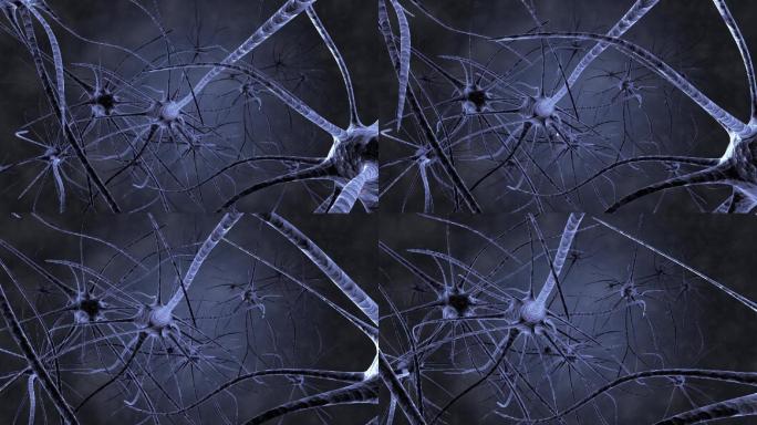神经元脑电波医学动画
