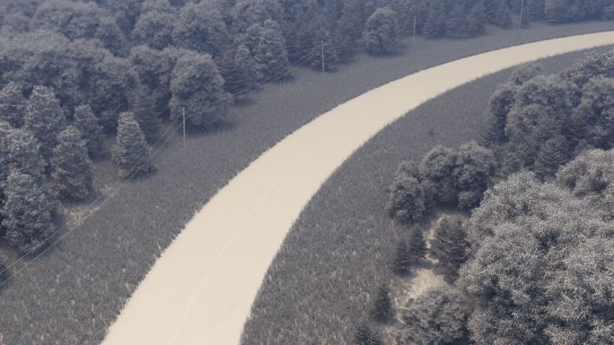 漫游森林小路短视频汽车森林航拍素材