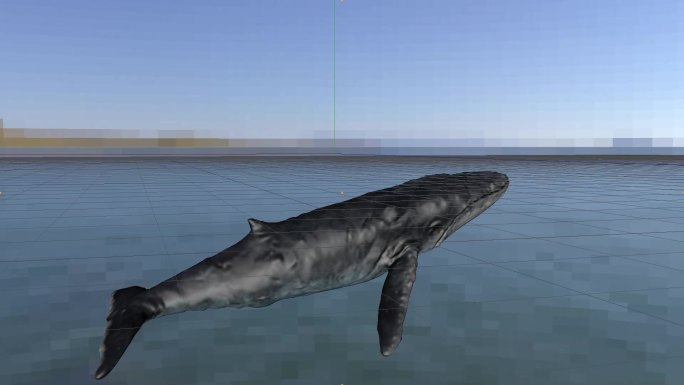 一头大鲸鱼