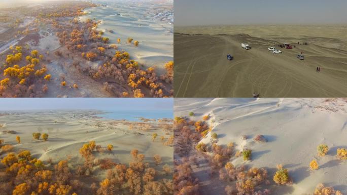 新疆永安湖的沙漠胡杨航拍新疆