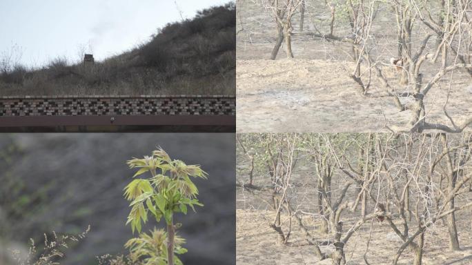 山村农村炊烟袅袅沙地种植空境