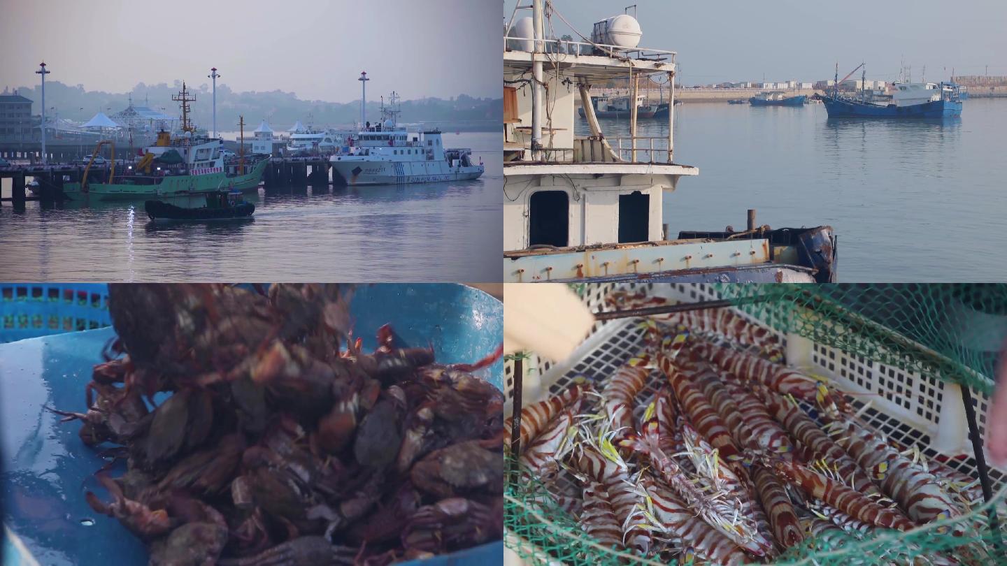 厦门码头风景拍摄渔船收获