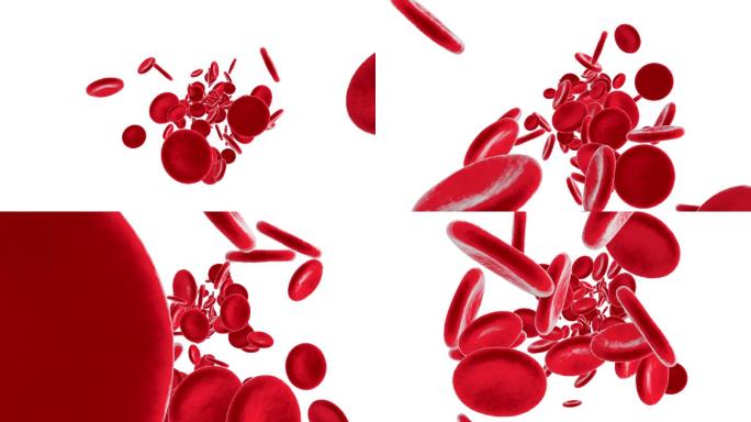 血细胞运动输血特写镜头