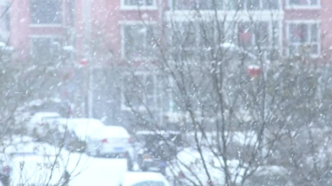 小城小区的大雪