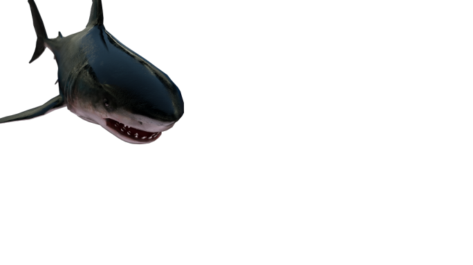 3D影视级全息鲨鱼带通道