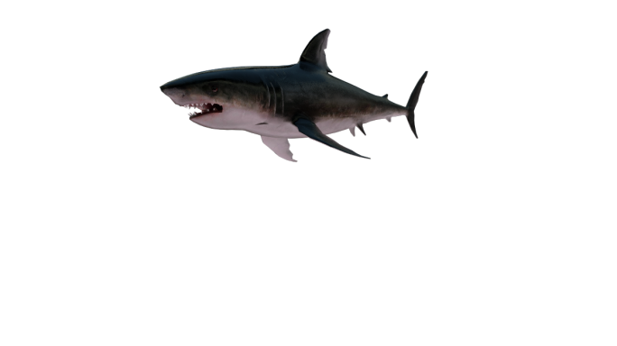 3D影视级全息鲨鱼带通道