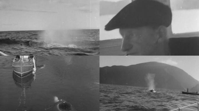 40年代捕猎鲸鱼