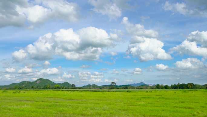 泰国热带平原草原草甸自然风光延时4K