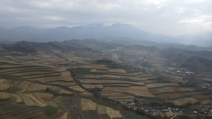 航拍高原山区田地燕麦地