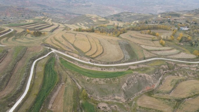 秋天航拍农田、山地、燕麦地、梯田