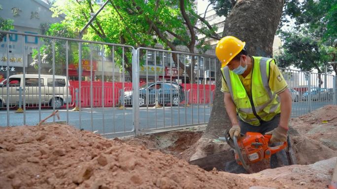 城市建设深圳建设电锯锯树挖路