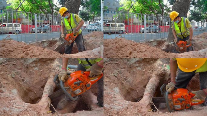 城市建设深圳建设电锯锯树挖路