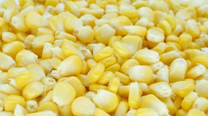 新鲜玉米籽实拍