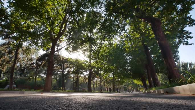 清华大学经管学院清华路空镜头