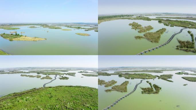 【4K】丹顶鹤湿地保护区航拍