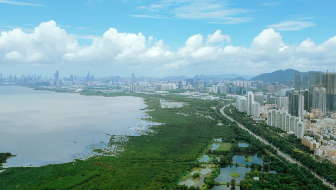 深圳天空全景延时