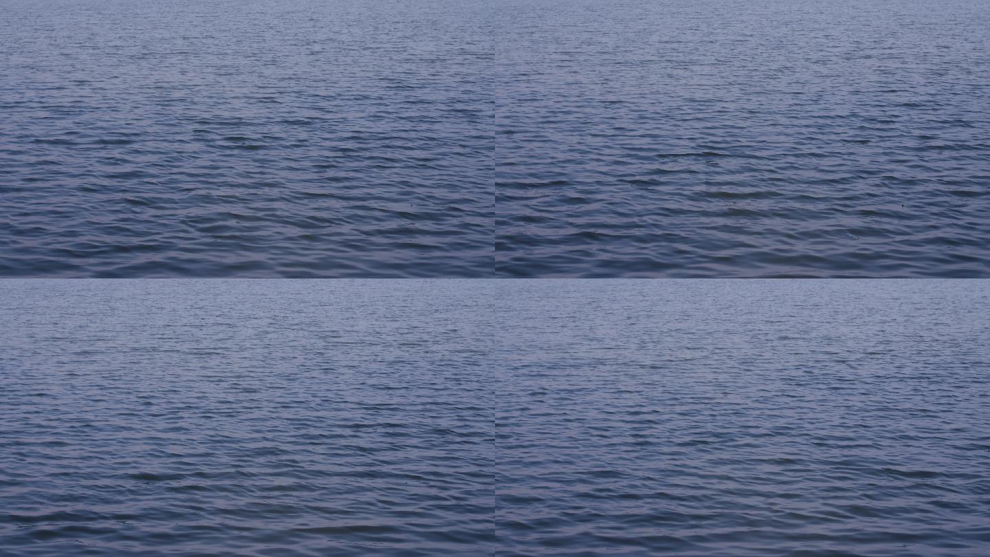 4K湖面海面河面波光粼粼视频素材