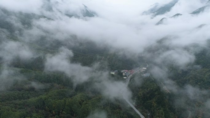 秦岭黄叶深秋秦岭北麓分水岭