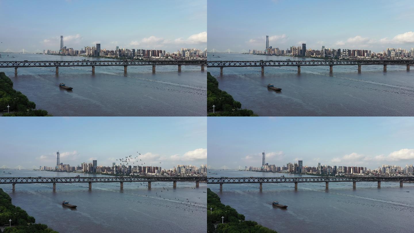一群鸽子飞过长江大桥