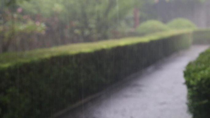 【原创】暴雨