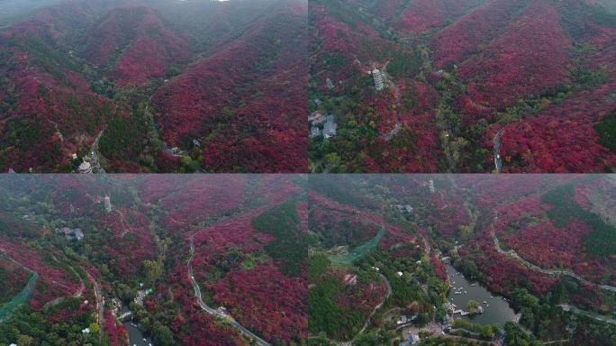 秋季森林山涧红叶航拍