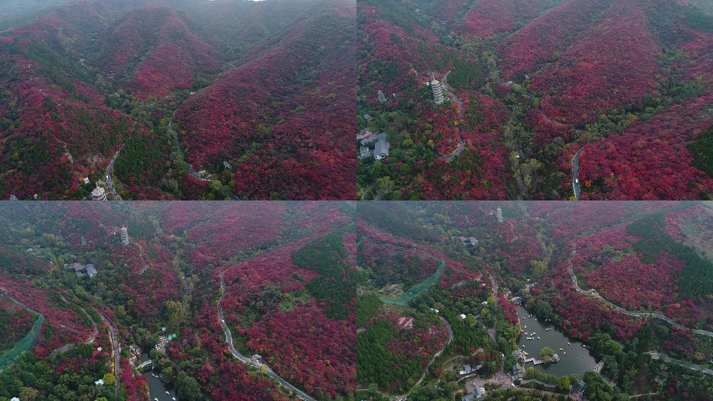 秋季森林山涧红叶航拍