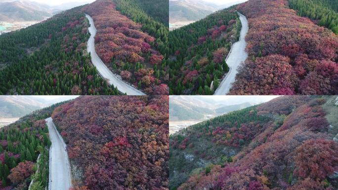 济南南部山区蚰蜒山红叶航拍