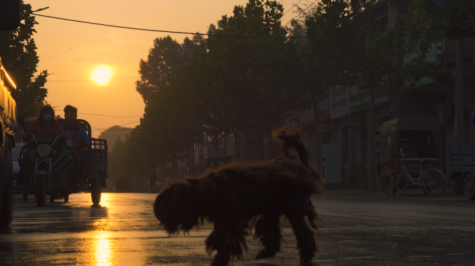 清晨阳光下小街道丨4K丨原创实拍