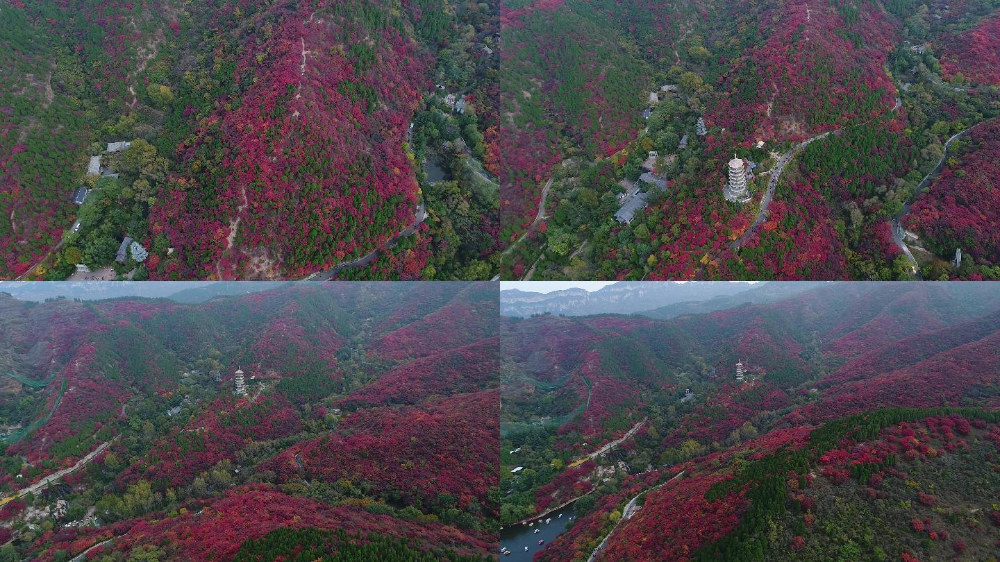 秋天山涧山谷红叶航拍素材