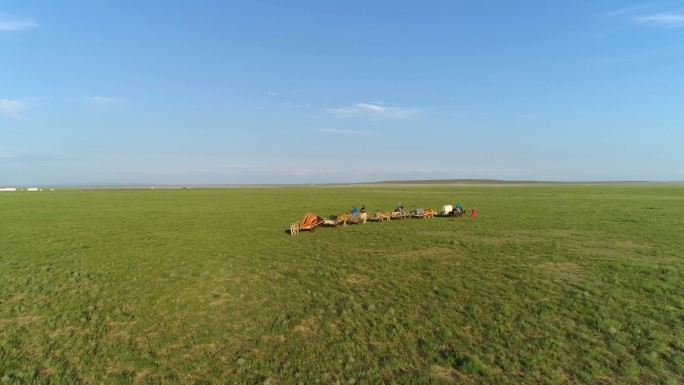 草原牧民游牧迁徙4K航拍