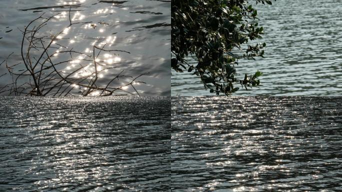 湖泊湖边风光_风吹湖水_波光粼粼的湖面