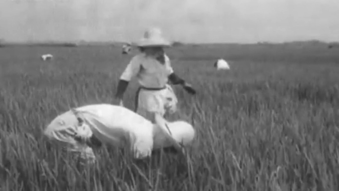 50-60年代乡村、劳作农民
