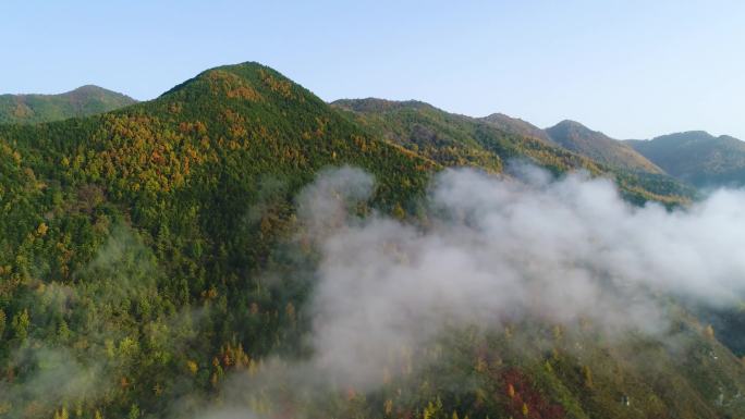 秦岭云海航拍