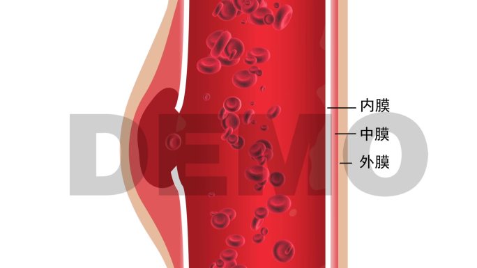 血管红细胞流动