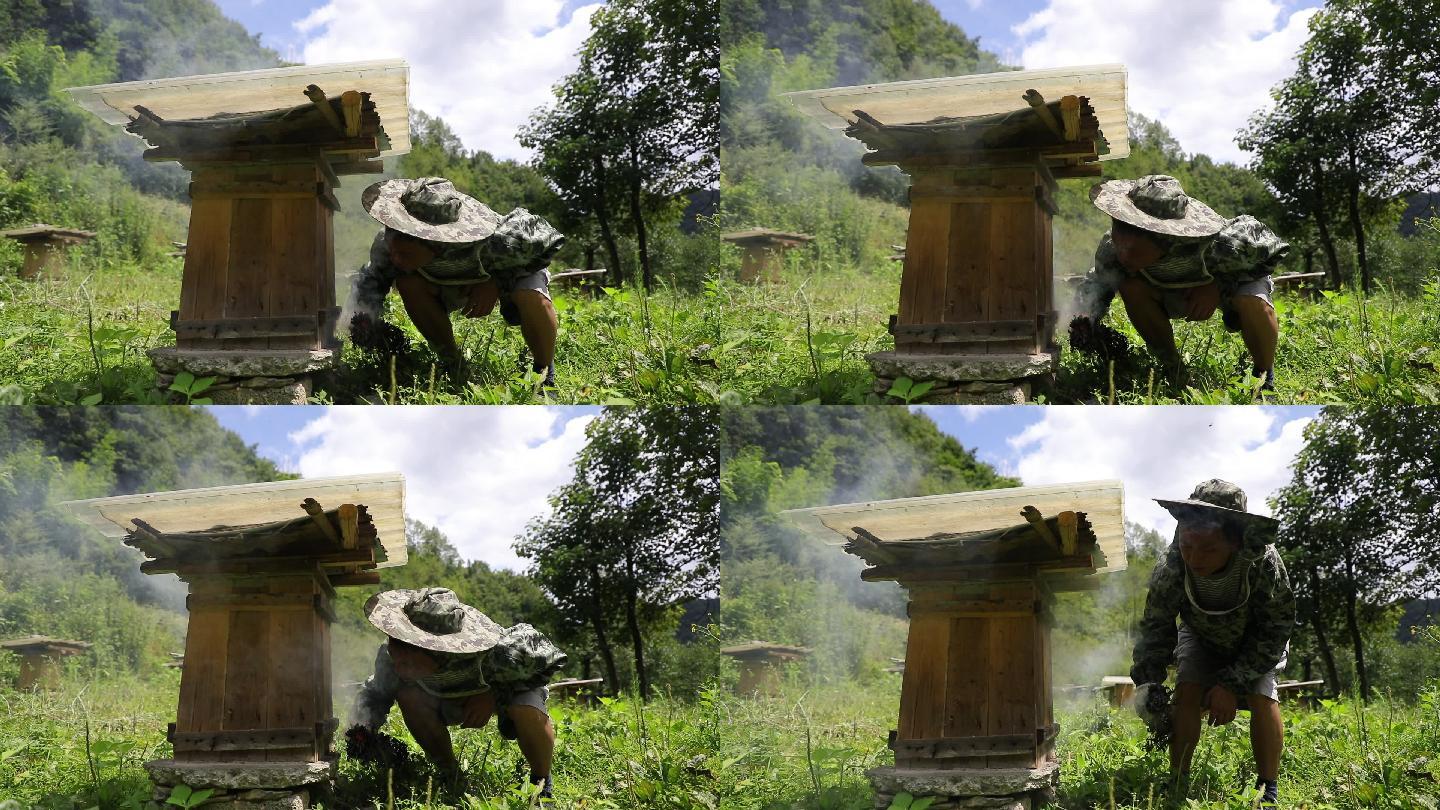 传统养蜂人