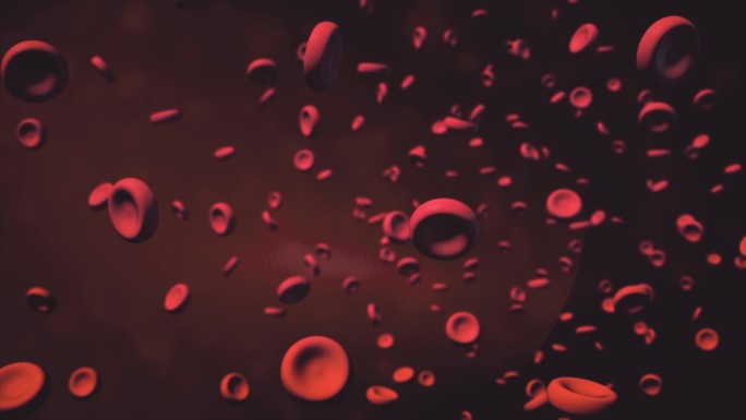 红细胞穿梭输血