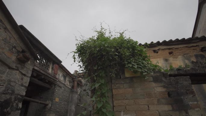 老屋农村传统残破残墙断壁