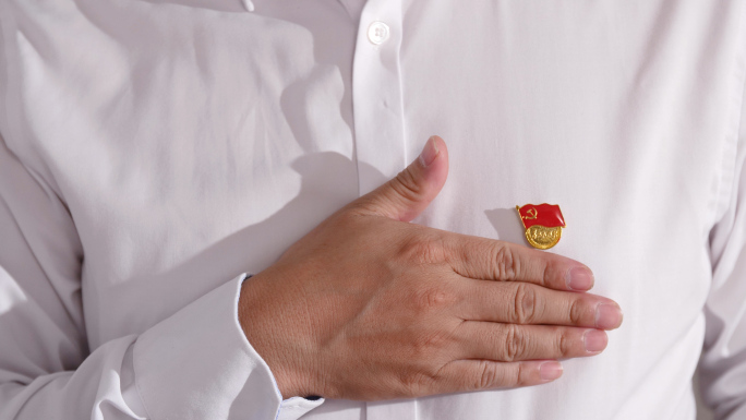 中国共产党党徽，党员戴党徽4k视频素材