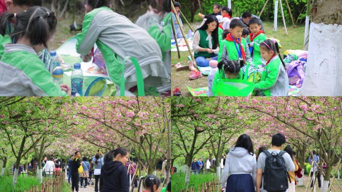 成都师生春游看樱花