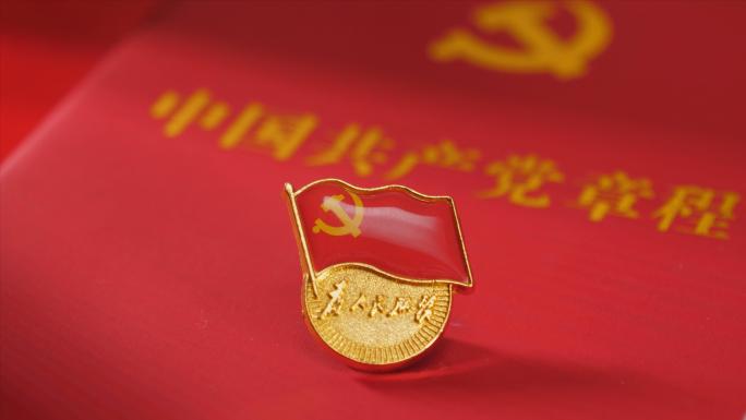 党徽党章党员学习中国共产党章程4k视频